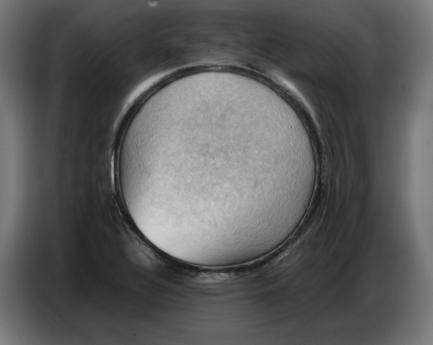 X0000086771320200705041500