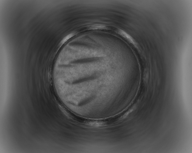 X0000086771321200705041500