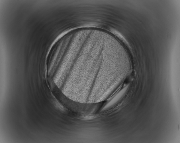 X0000086771324200705041500