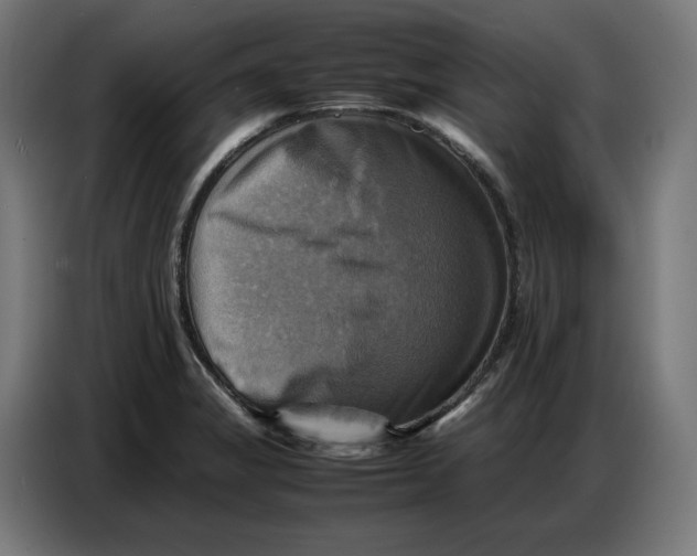 X0000086771325200705041500