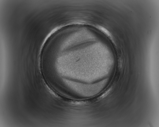 X0000086771326200705041500