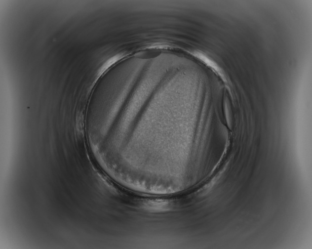 X0000086771329200705041500