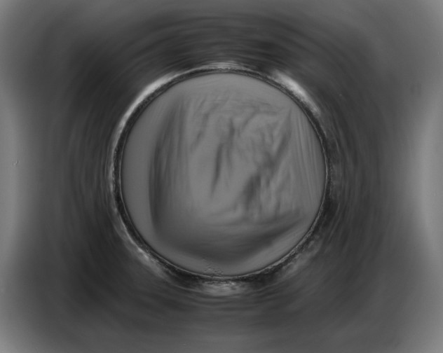 X0000086771331200705041500