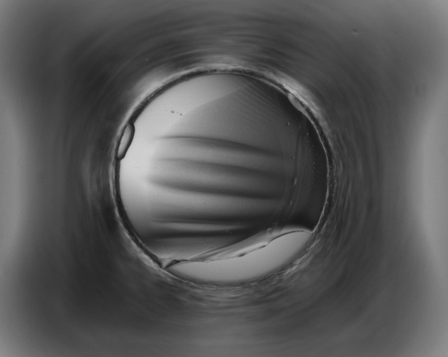 X0000086771334200705041500