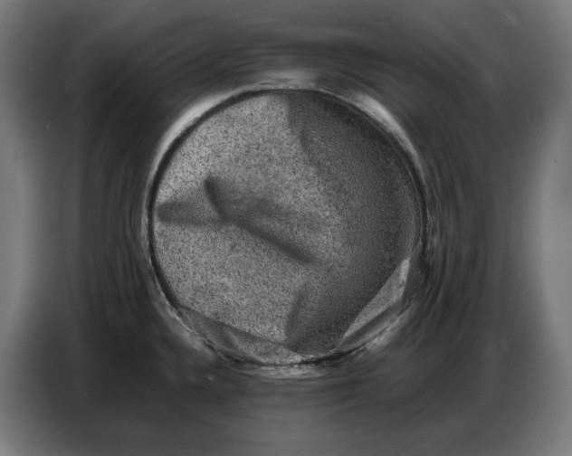X0000086771336200705041500