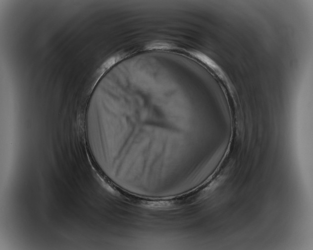 X0000086771337200705041500