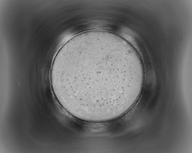 X0000086771338200705041500