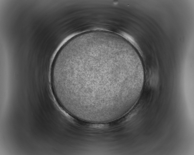 X0000086771339200705041500
