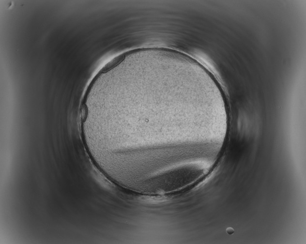 X0000086771340200705041500