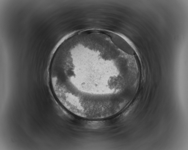 X0000086771341200705041500