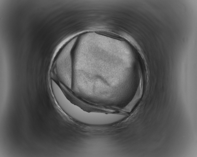 X0000086771344200705041500