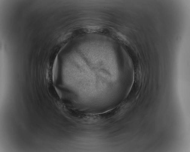 X0000086771346200705041500