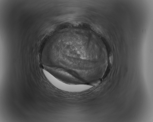 X0000086771347200705041500