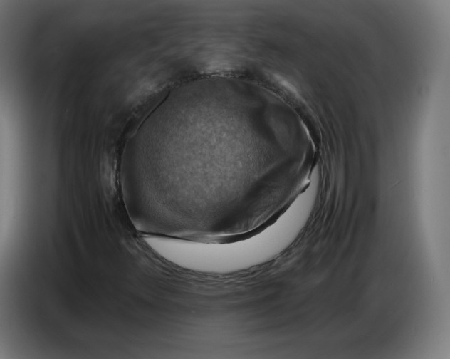 X0000086771348200705041500