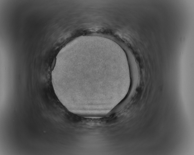 X0000086771349200705041500