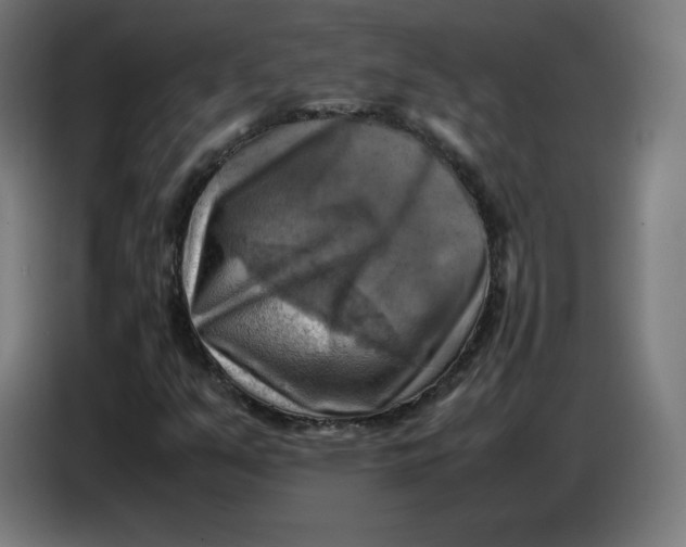X0000086771351200705041500