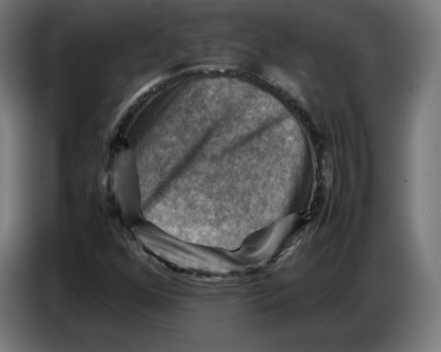 X0000086771352200705041500