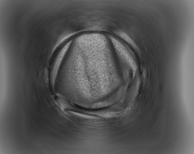 X0000086771356200705041500
