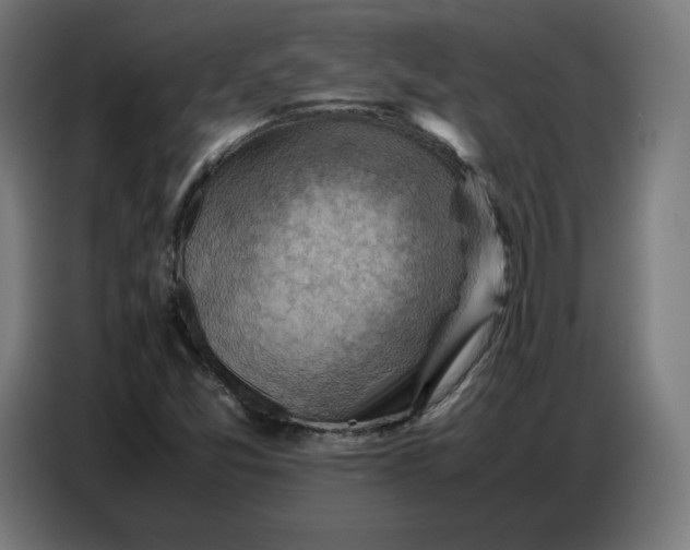 X0000086771357200705041500