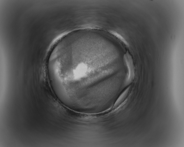 X0000086771358200705041500