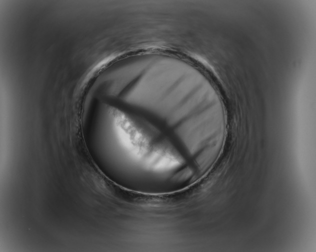 X0000086771359200705041500