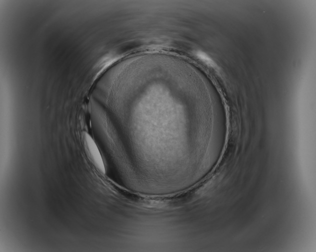 X0000086771361200705041459