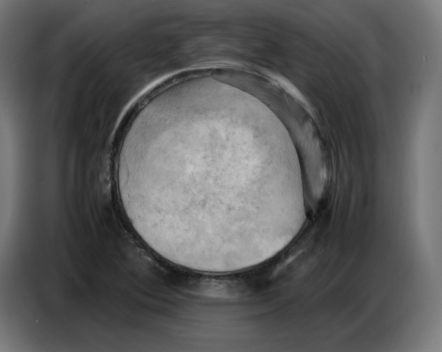 X0000086771364200705041459