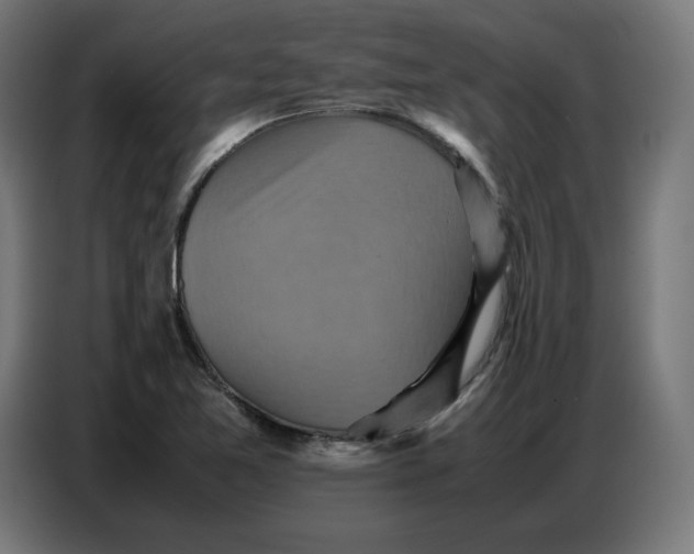 X0000086771365200705041459