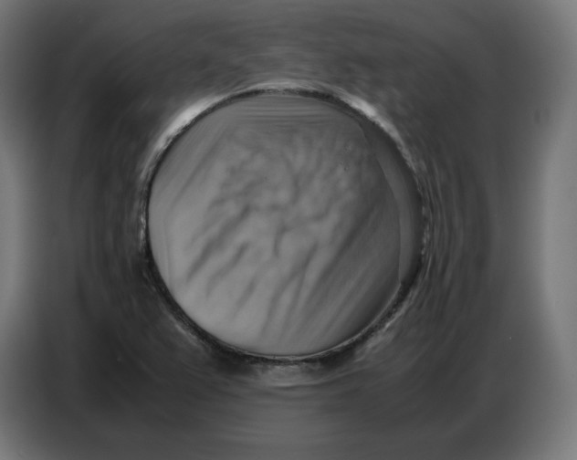 X0000086771367200705041459