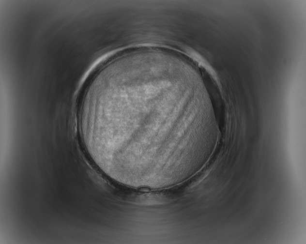 X0000086771368200705041459