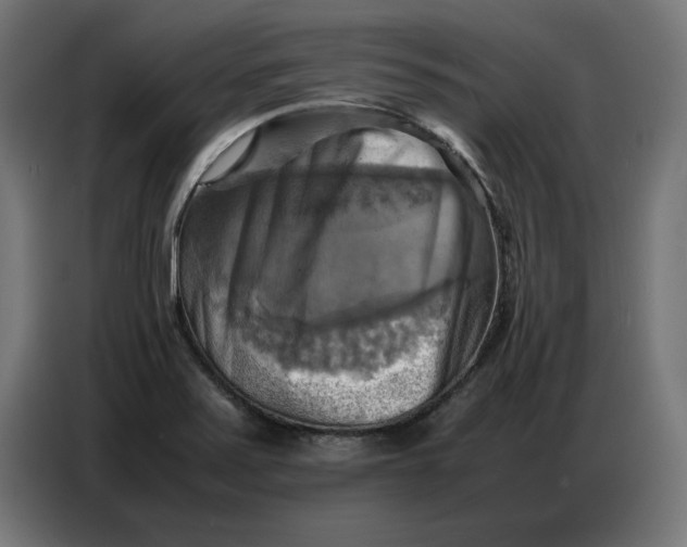 X0000086771371200705041459