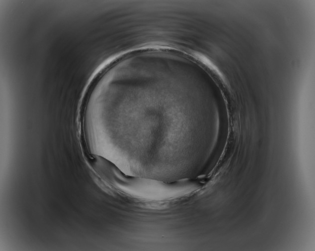 X0000086771372200705041459