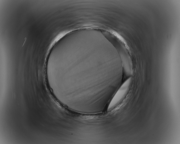 X0000086771373200705041459