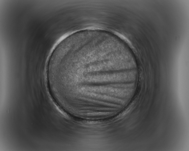 X0000086771375200705041459