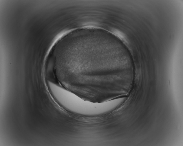X0000086771376200705041459