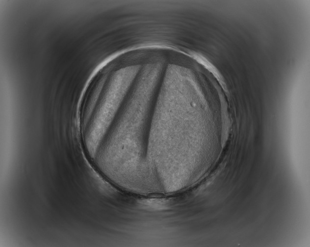 X0000086771380200705041459