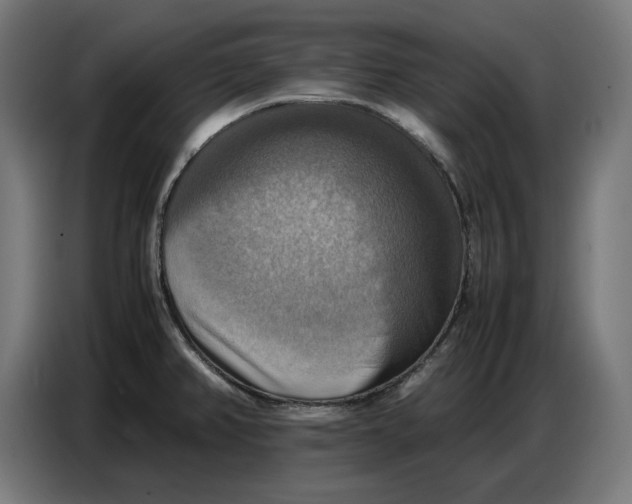 X0000086771382200705041459