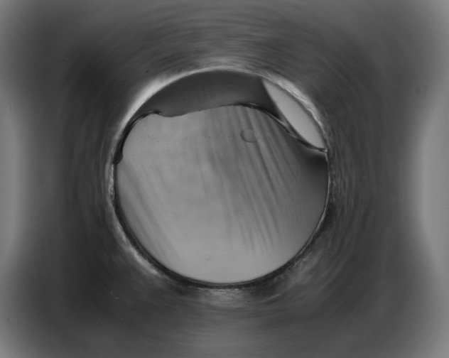 X0000086771383200705041459