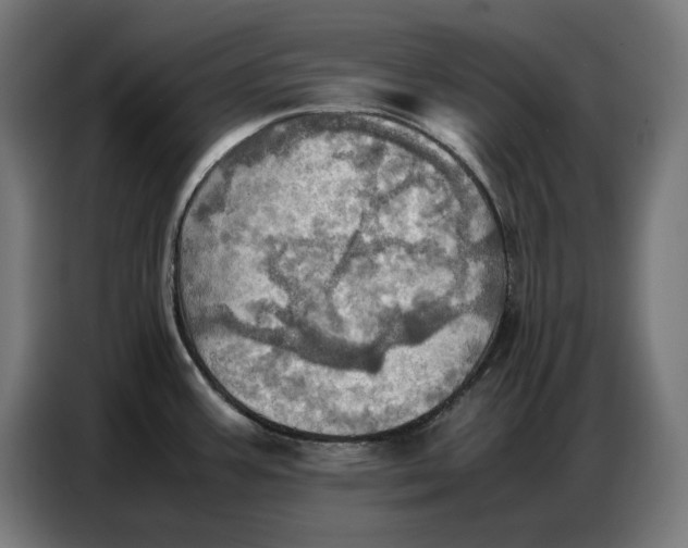 X0000086771387200705041459