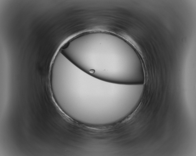 X0000086771388200705041459