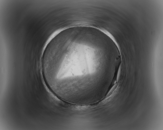 X0000086771389200705041459