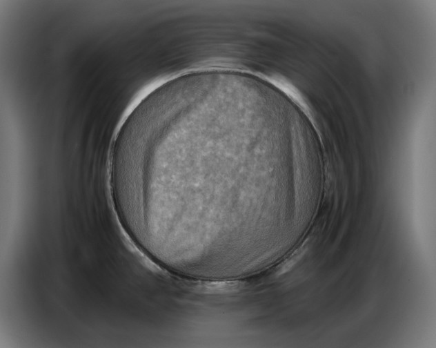 X0000086771390200705041459