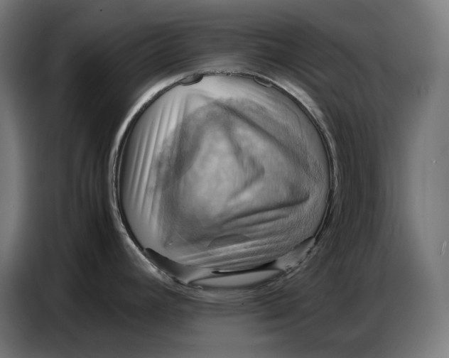 X0000086771392200705041459