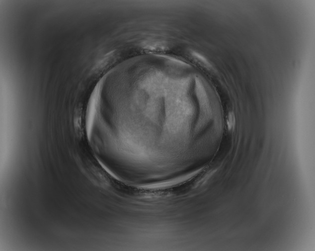 X0000086771396200705041459
