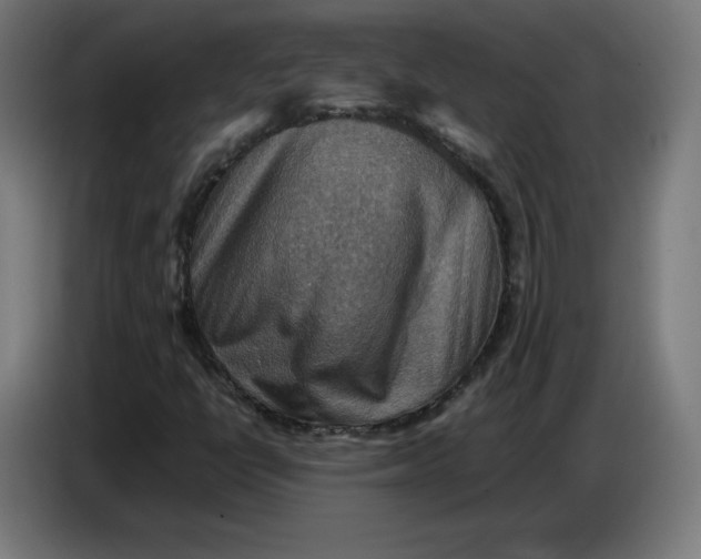X0000086771398200705041459