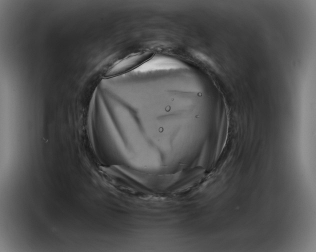 X0000086771399200705041459