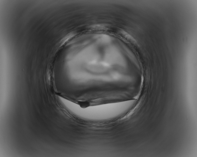 X0000086771401200705041459