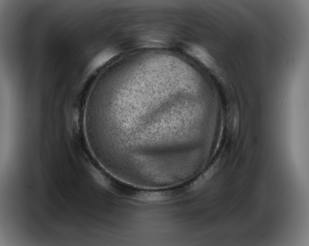 X0000086771402200705041459