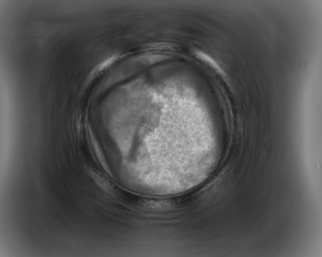 X0000086771403200705041459