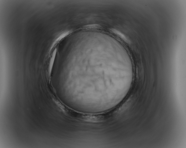 X0000086771405200705041459